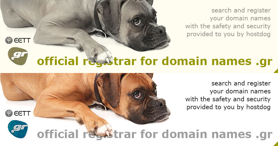 Official registrar for domain names .gr